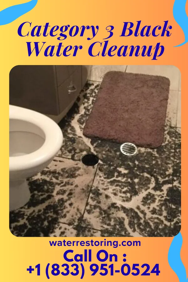 Category 3 Black Water Cleanup in New Iberia, LA