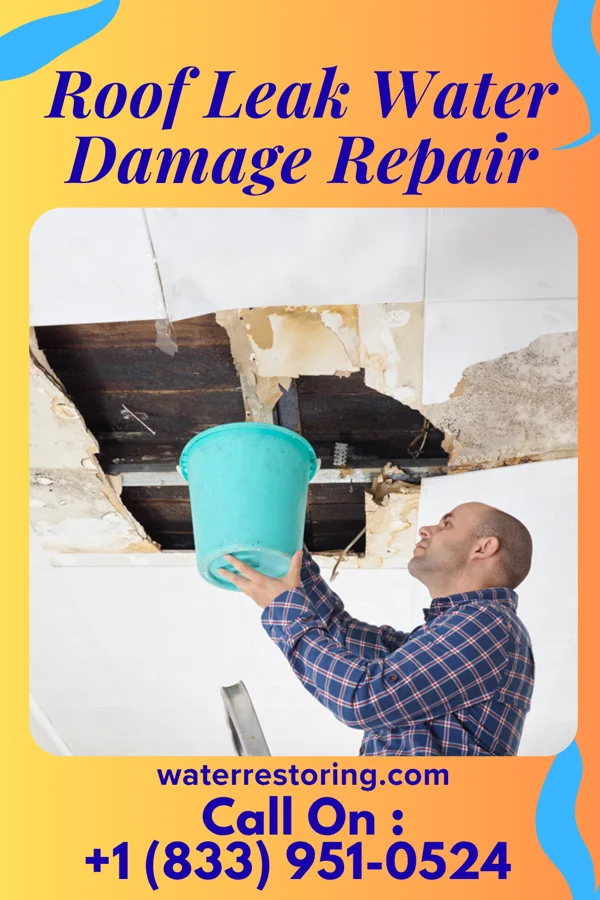 Roof Leak Water Damage Repair in New Iberia, LA